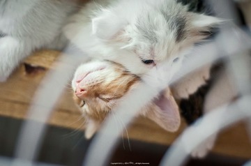 DSC_6910副本.jpg