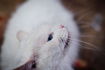 DSC_6908副本.jpg