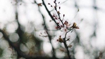 DSC_4648副本.jpg