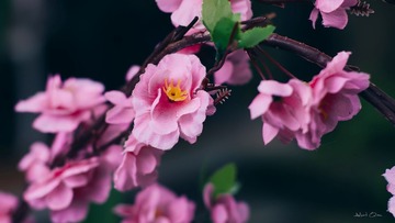 DSC_7538副本.jpg