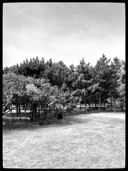 54AEB9F5-3253-4EC4-B070-6932C09F8A19/L0/001