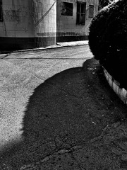 D37299AB-5577-4AE8-8F92-96AD2DBECF0B/L0/001
