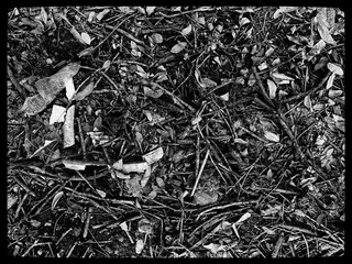 C7B56491-B4D9-4392-8C52-7E84EF10FAA4/L0/001