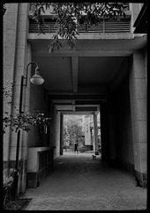 428D3F12-233D-4EF2-AD36-0F92BC0CB15B/L0/001