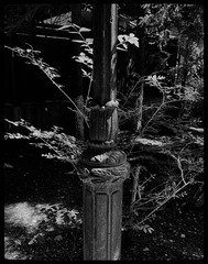 15AE0932-0DD8-47C4-8EFC-220F676B606E/L0/001