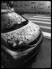 D0306B41-9EC4-4416-926E-EC22853A2C5E/L0/001