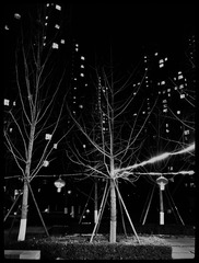 7B583A2C-03BB-4944-A8B6-EE0EBC260B44/L0/001
