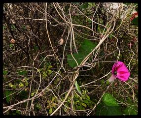 6C9AE51D-463B-4747-A82A-226FD8EC4C7F/L0/001
