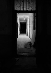 FA9791DC-2B12-4A0D-BCE8-2E8AB8755A02/L0/001