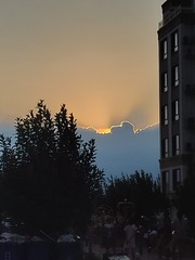 1000006695