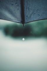 AB034E71-C846-4C98-829F-FA4BBC892D29/L0/001