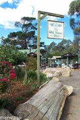 Rose Cottage-3