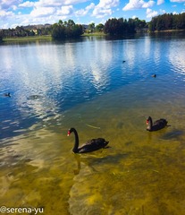 Yerribi Pond-1