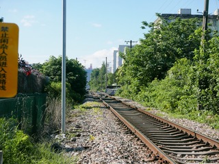 150591