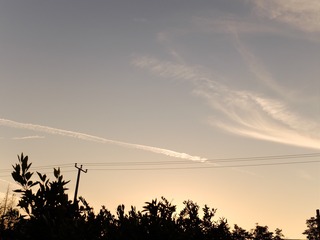 1064491