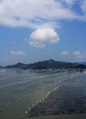 IMG_0050.jpg