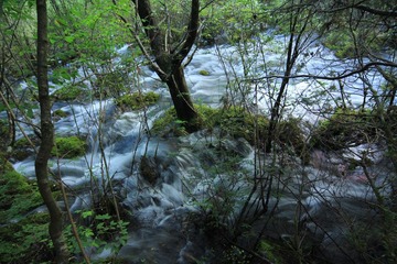 IMG_2314.JPG