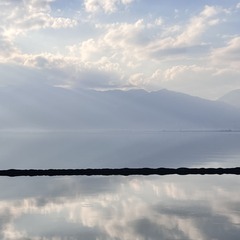 1000011538