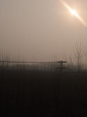 4804496