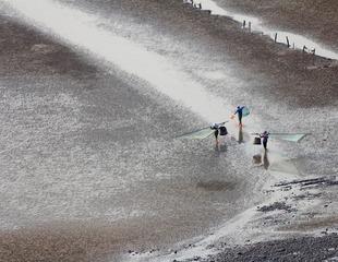 _MG_2973.JPG