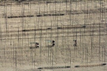 _MG_3039.JPG