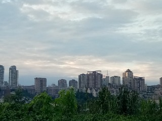 804456