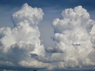 CA4AB9CA-DFC9-4E7D-9F8B-DA84CD1BD3A4/L0/001
