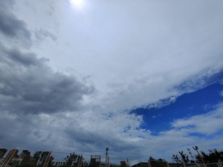 1000066735