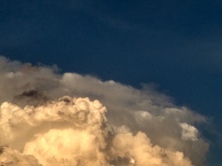 489