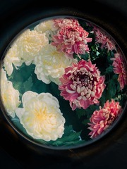 5FA2D8F9-BF5C-4ACE-96EC-359566C9A0E1/L0/001