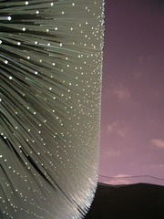P1010702