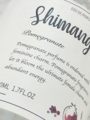 1172704