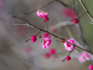 1303327
