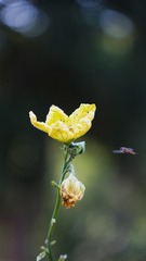 0299574E-DF05-4A49-94B9-FC397ACFEE3B/L0/001