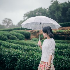 雨中