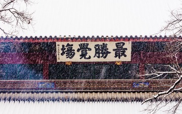 IMGP9976.jpg