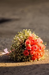 IMGP0110.jpg