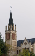 IMGP2873.jpg