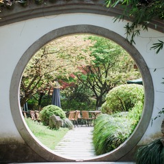 IMGP2949.jpg