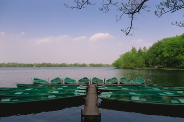 IMGP3116.jpg
