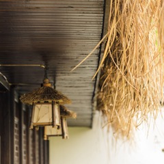 IMGP3205.jpg