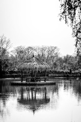 IMGP3189.jpg