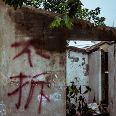 IMGP7204.jpg