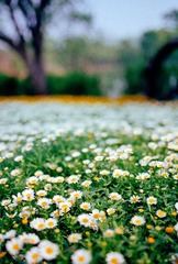 20140418-Scan-140415-0013-3