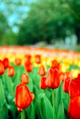 20140418-Scan-140415-0033