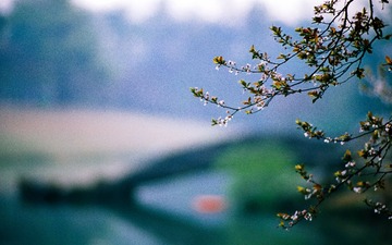 20140419-Scan-140415-0026-2