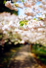 20140417-Scan-140415-0004-2