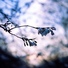 20140421-Scan-140415-0032-3