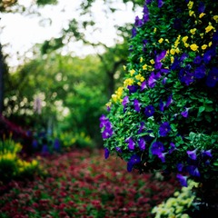 20140419-Scan-140415-0010-3