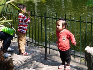 P1000034.JPG